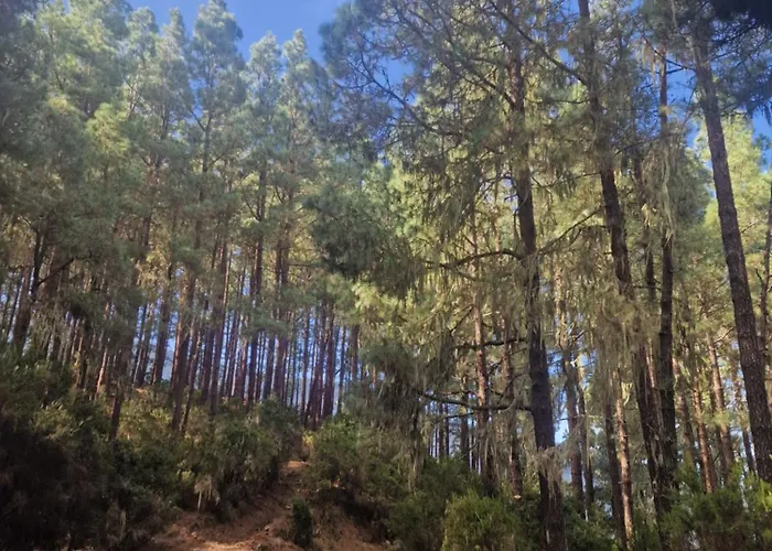 On The Edge Of The Teide National Park Apartmán *