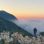On The Edge Of The Teide National Park Λος Ρεαλέχος