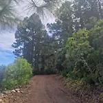 Lejlighed On The Edge Of The Teide National Park Los Realejos