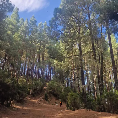 On The Edge Of The Teide National Park Apartmán *