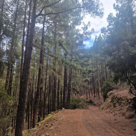 On The Edge Of The Teide National Park *