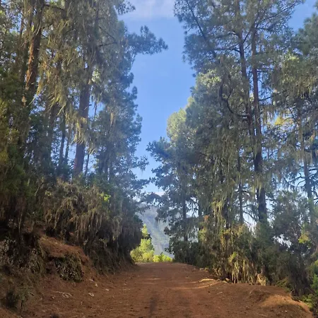 Apartmán On The Edge Of The Teide National Park