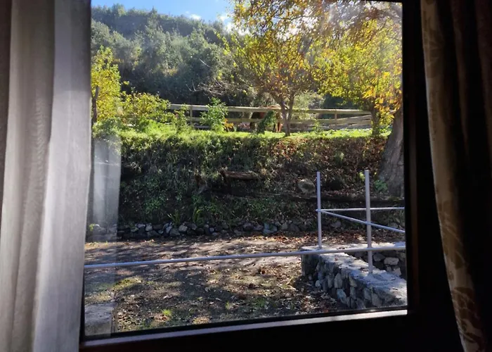 On The Edge Of The Teide National Park * 로스 레알레호스