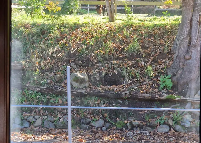 On The Edge Of The Teide National Park *