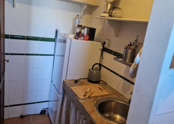 아파트 On The Edge Of The Teide National Park 로스 레알레호스