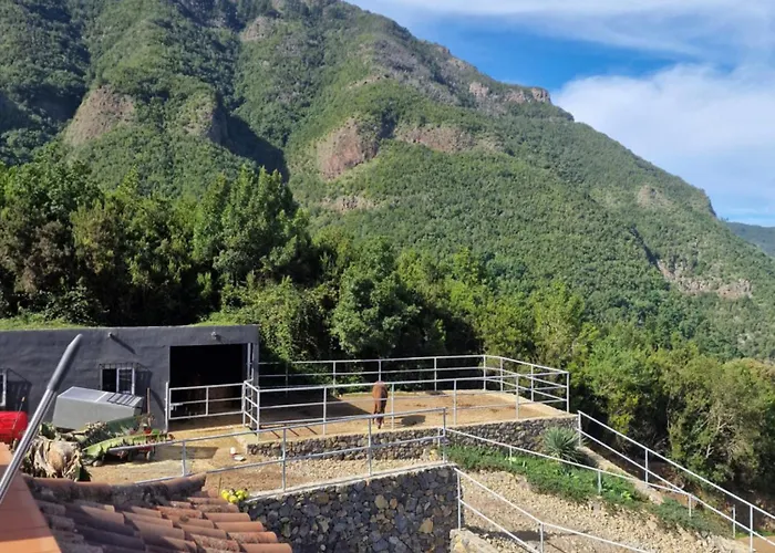 Apartment On The Edge Of The Teide National Park Los Realejos