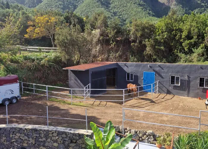 Appartement On The Edge Of The Teide National Park Los Realejos
