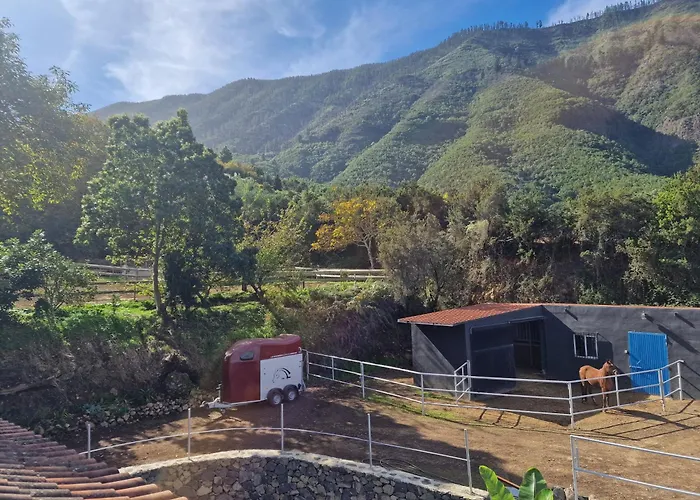 On The Edge Of The Teide National Park * Los Realejos