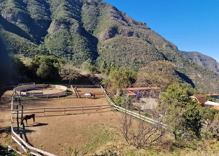 On The Edge Of The Teide National Park 아파트