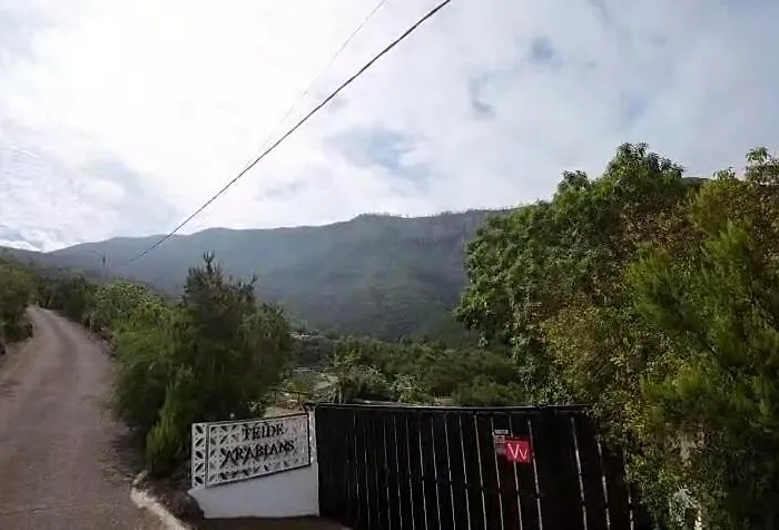 On The Edge Of The Teide National Park 아파트