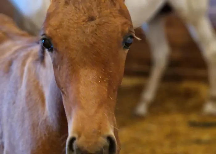 On The Edge Of The Teide National Park 아파트 *