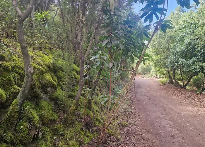 On The Edge Of The Teide National Park 아파트