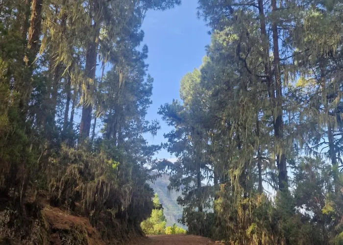 아파트 On The Edge Of The Teide National Park