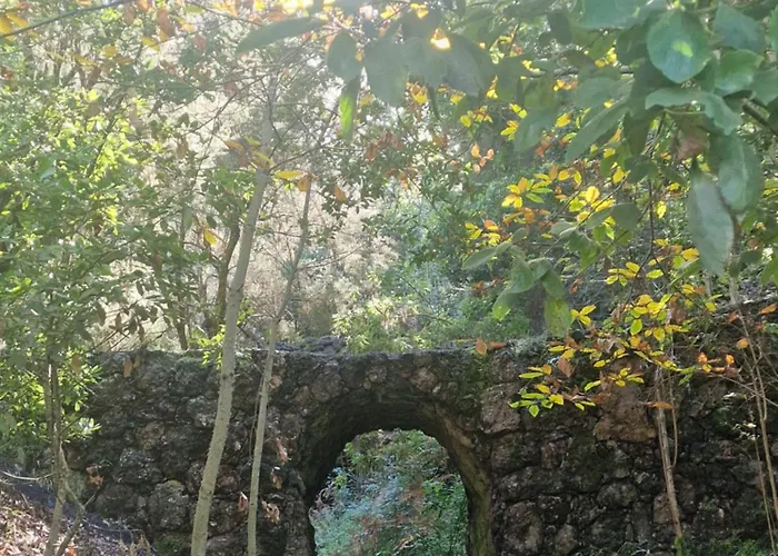 아파트 On The Edge Of The Teide National Park