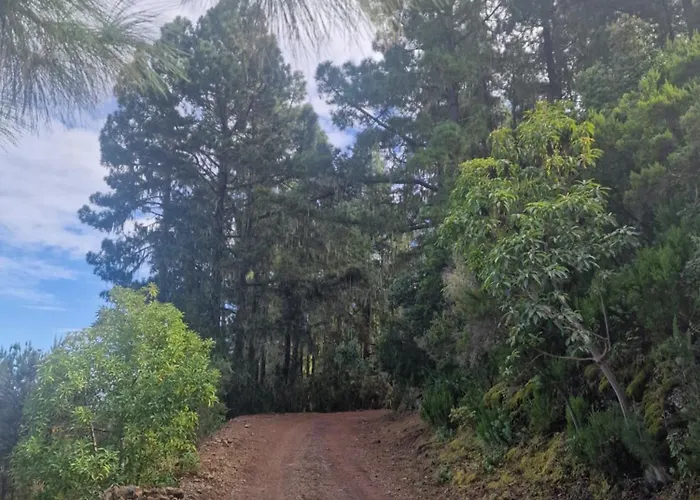 아파트 On The Edge Of The Teide National Park 로스 레알레호스