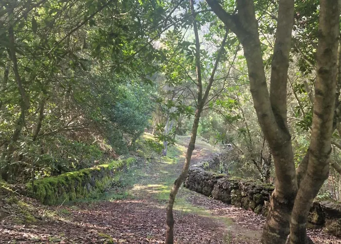 On The Edge Of The Teide National Park * 로스 레알레호스