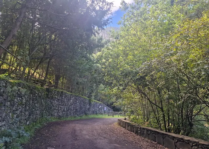 On The Edge Of The Teide National Park *