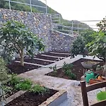 Apartman On The Edge Of The Teide National Park Los Realejos