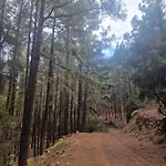 On The Edge Of The Teide National Park *